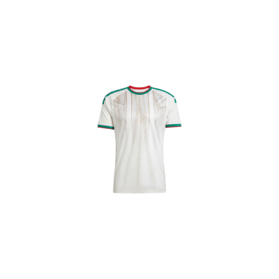 Camiseta Deportiva para Hombre Blanca con Detalles en Verde y Rojo ARG-2026