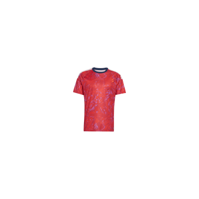Camiseta Deportiva para Hombre Roja con Diseño Estampado CR-2026